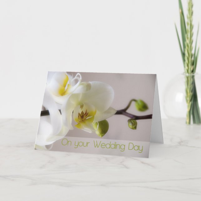 White Orchid Wedding Congratulation Card (Front)