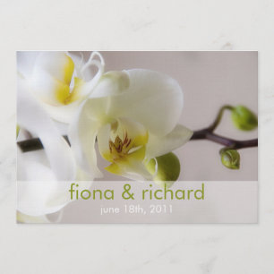 White Orchid • Wedding Invitation