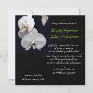 White Orchid Wedding Invitation 5.25x5.25