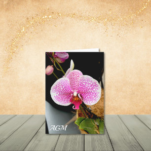 White Orchid with Pink Speckles, Note Cards