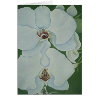 White Orchids