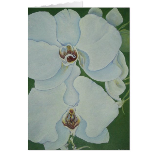 White Orchids (Front)