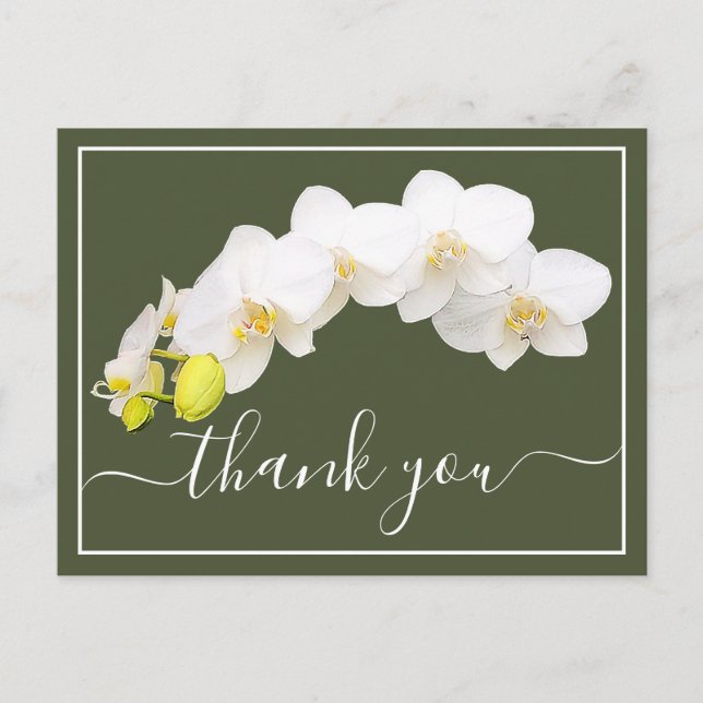 White Orchids Against Green Background Thank You Postcard (Front)