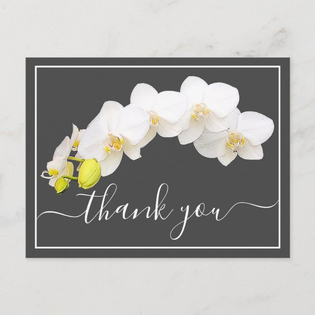 White Orchids Against Grey Background Thank You Postcard (Front)