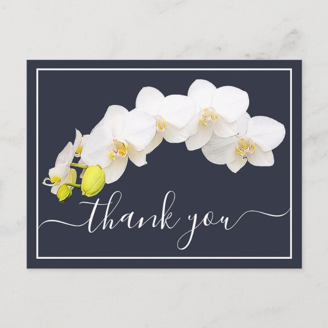 White Orchids Against Navy Background Thank You Postcard (Front)