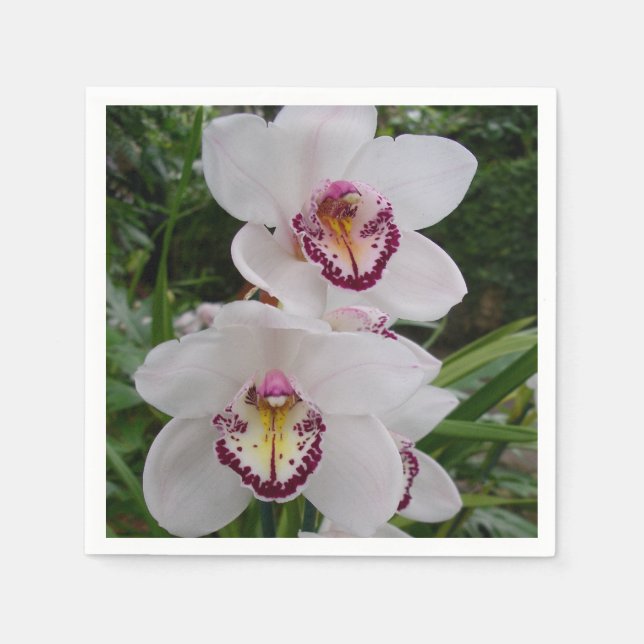 White Orchids Beautiful Tropical Flowers Napkin (Front)