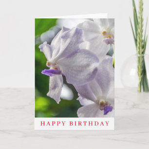 White orchids birthday card
