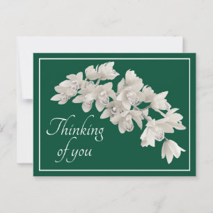 White Orchids Green Background Thinking of You Postcard