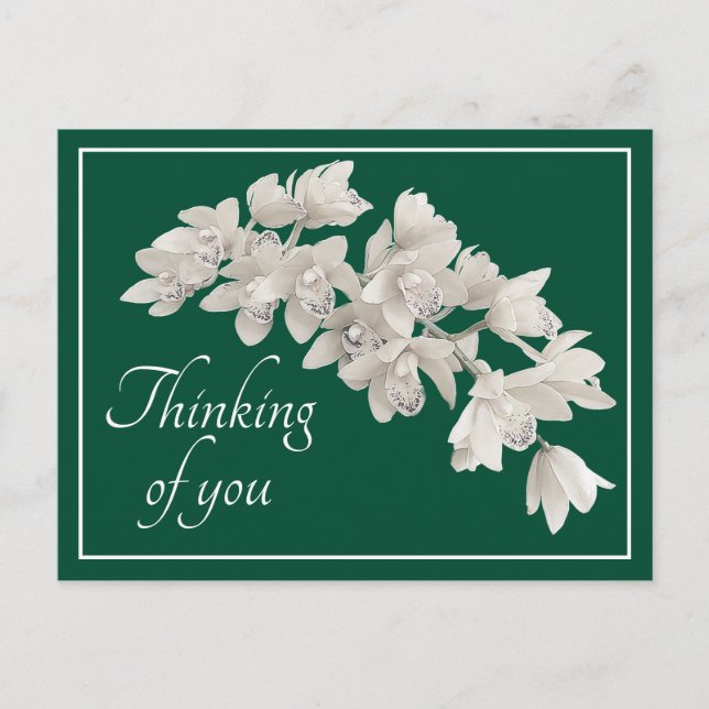 White Orchids Green Background Thinking of You Postcard (Front)