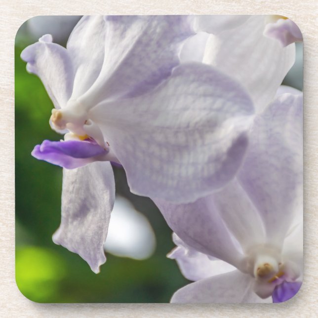 White orchids hard plastic coasters (Front)