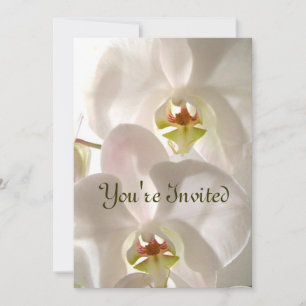 White Orchids_ Invitation