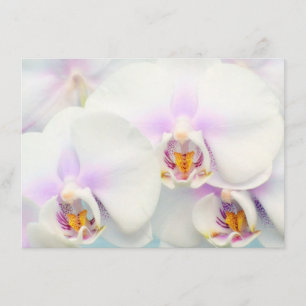 White Orchids Invitation