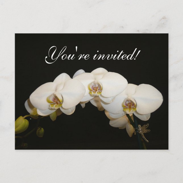 White Orchids Invitation Postcard (Front)