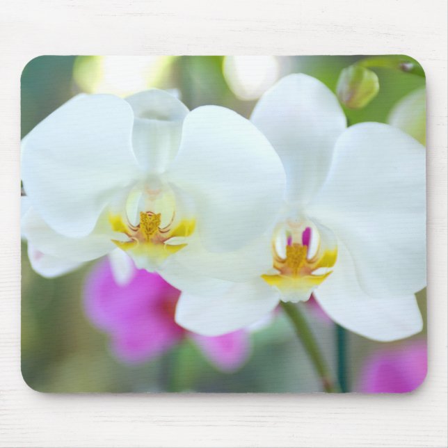 White Orchids Mouse Mat (Front)