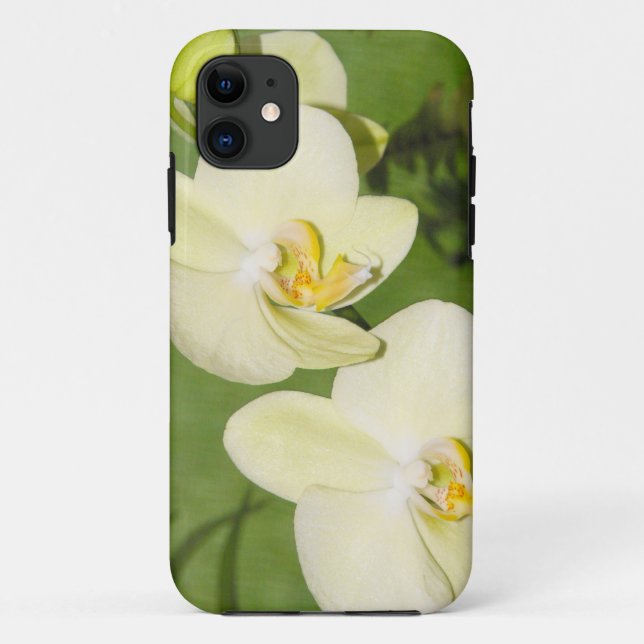 White Orchids on a green background Case-Mate iPhone Case (Back)