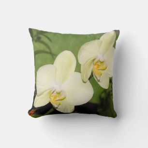 White Orchids on a green background Cushion