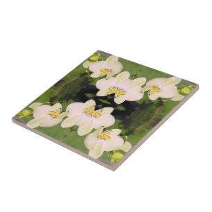 White Orchids on a green background Tile