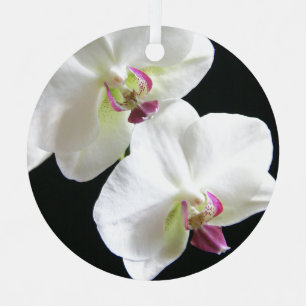 White Orchids on Black Christmas Tree Decoration