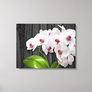 White Orchids On Wood Bark Canvas Print