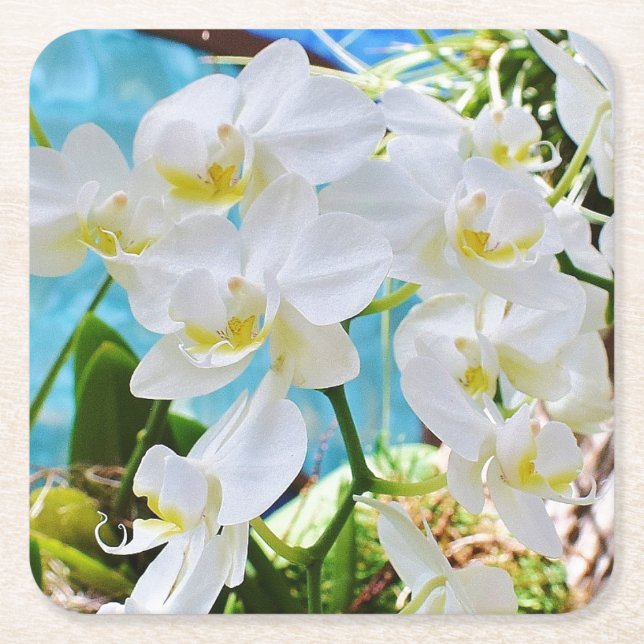 White Orchids Paper Coaster (Front)