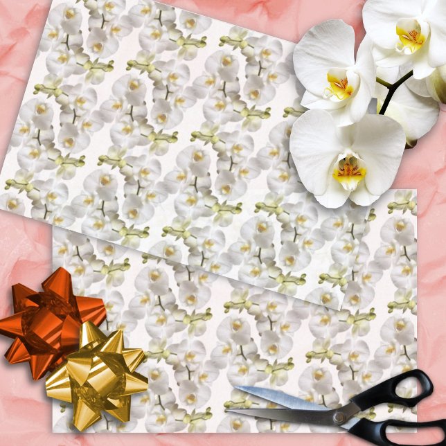 White Orchids Pattern Tissue Paper (Creator Uploaded)