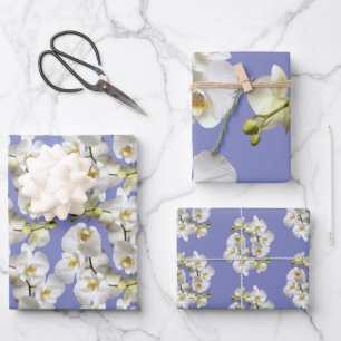 White Orchids Periwinkle Blue Lavender Wrapping Paper Sheet