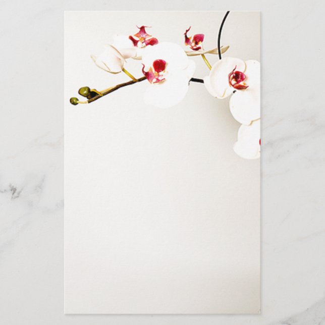 White Orchids Stationery (Front)