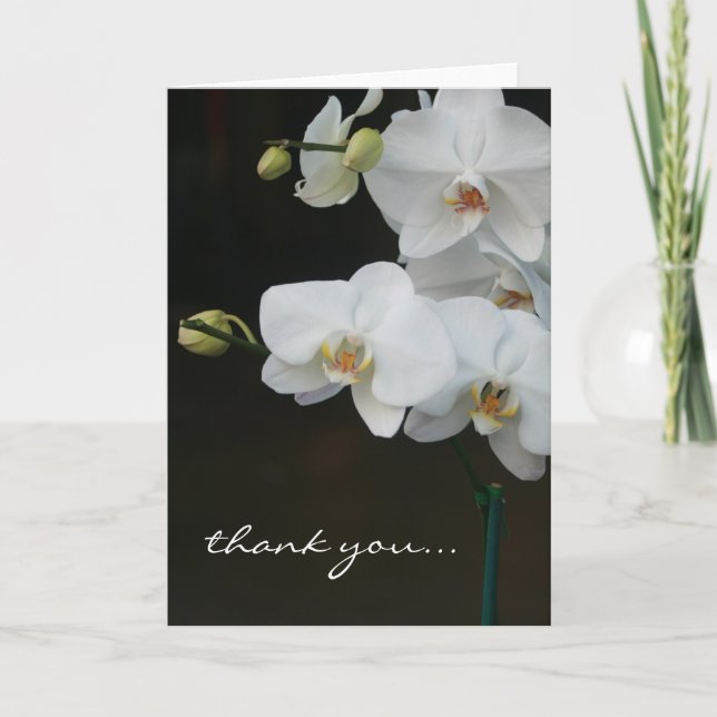 White Orchids Thank You (Front)