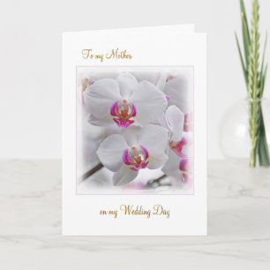 White Orchids - Thank you Mother for my Wedding