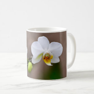 White orchids with buds  coffee mug