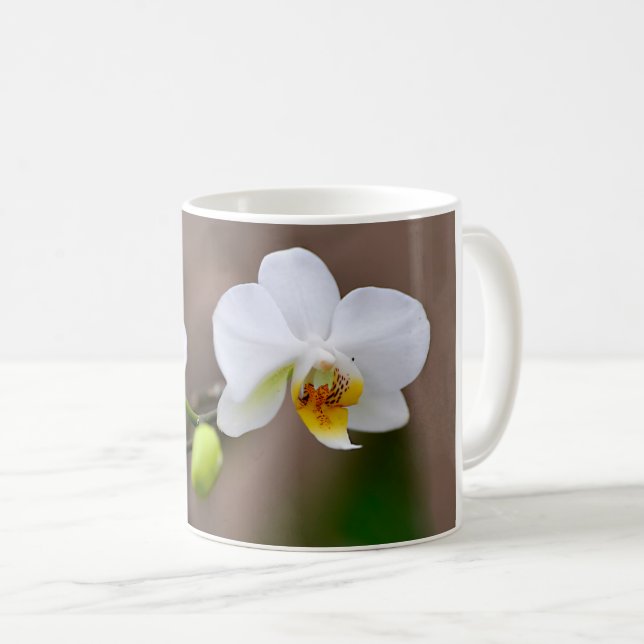 White orchids with buds  coffee mug (Front Right)