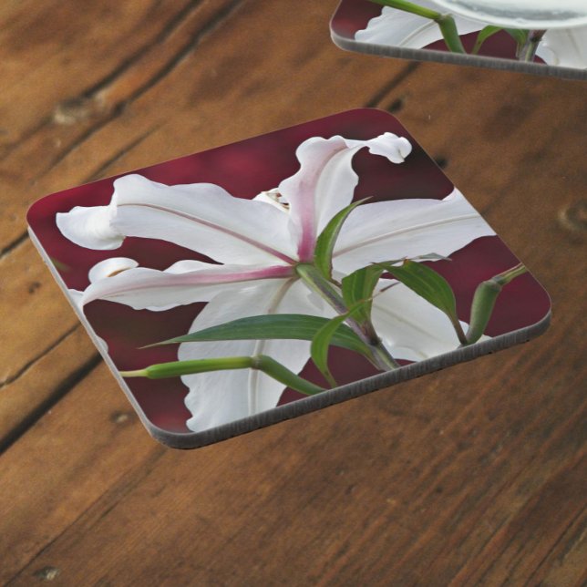 White Oriental Lily Bloom Floral Coaster (In Situ)