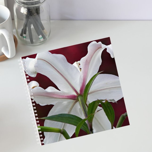 White Oriental Lily Bloom Floral Notebook (In Situ)