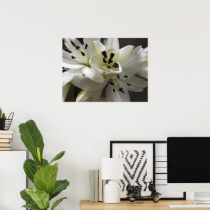White Oriental Lily Flowers Poster