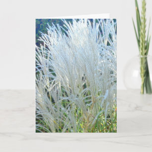 White Ornamental Grass greeting card