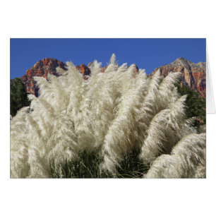 White Ornamental Pampas Grass Utah Blank Card
