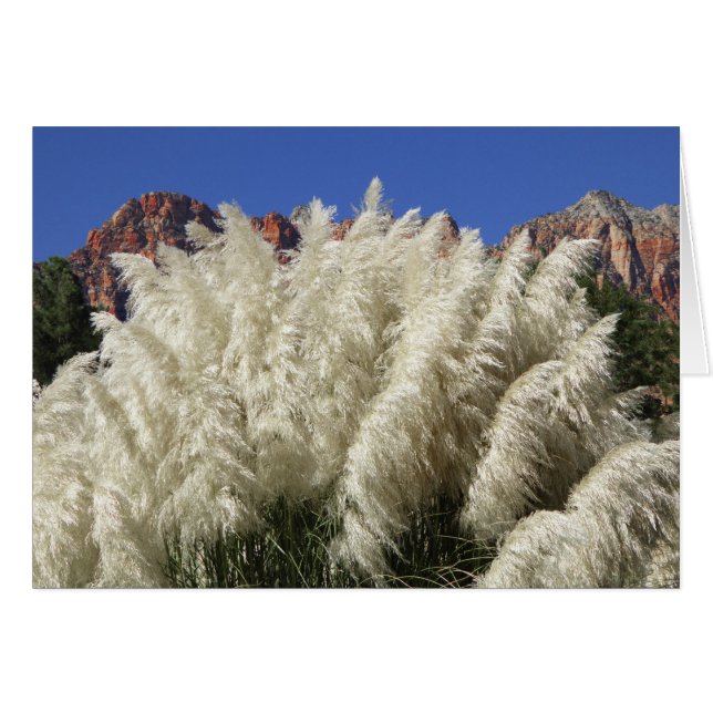 White Ornamental Pampas Grass Utah Blank Card (Front Horizontal)