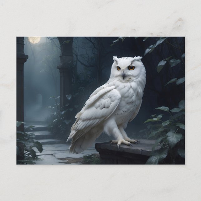 white owl in the night postcard (Front)