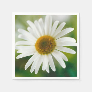 White Oxeye Daisy - Leucanthemum vulgare   Napkin