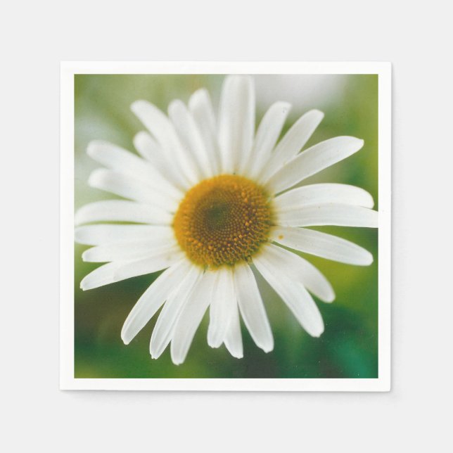 White Oxeye Daisy - Leucanthemum vulgare   Napkin (Front)