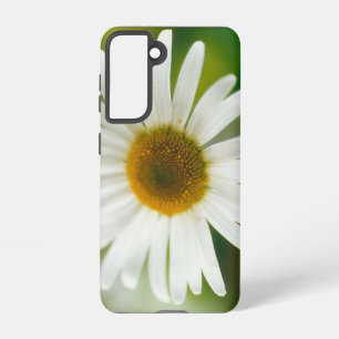 White Oxeye Daisy - Leucanthemum vulgare   Samsung Galaxy Case