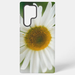 White Oxeye Daisy - Leucanthemum vulgare   Samsung Galaxy Case