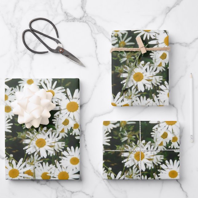 White Oxeye Daisy Meadow Wrapping Paper Sheet (Front)