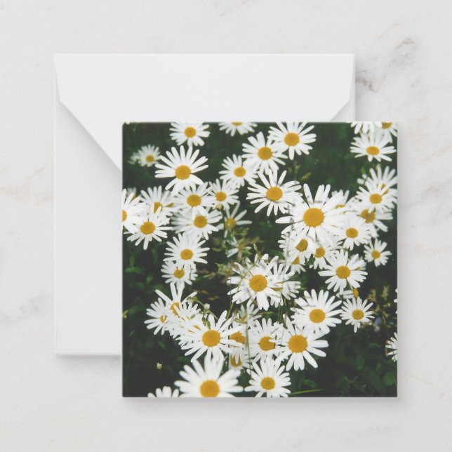 White Oxeye Daisy, Moon Daisy Meadow Card (Front)