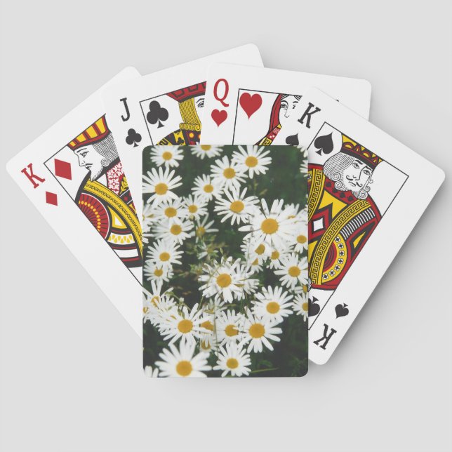 White Oxeye Daisy, Moon Daisy Meadow Playing Cards (Back)