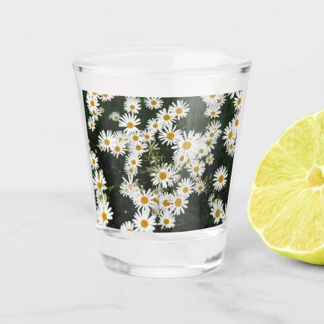 White Oxeye Daisy, Moon Daisy Meadow Shot Glass (Front)