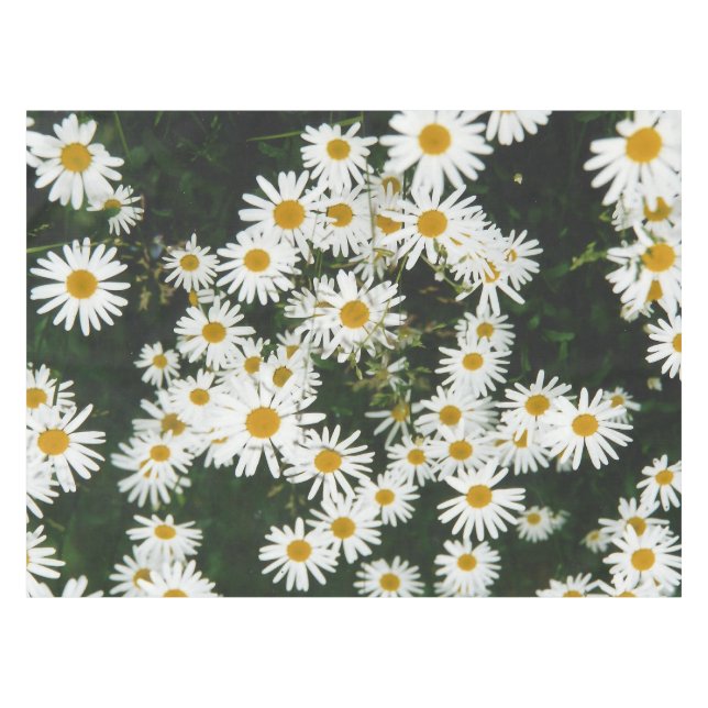 White Oxeye Daisy, Moon Daisy Meadow Tablecloth (Front (Horizontal))