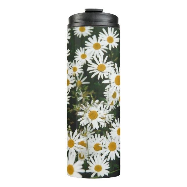 White Oxeye Daisy, Moon Daisy Meadow Thermal Tumbler (Front)