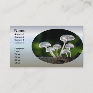 White Oyster Autumn Mushrooms Business Card