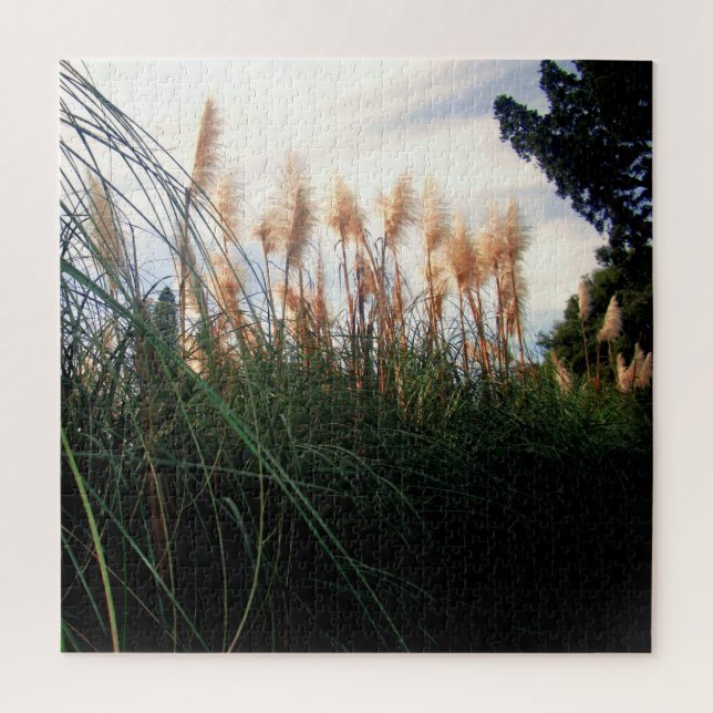 White Pampas Grass Blooms, Jigsaw Puzzle (Vertical)